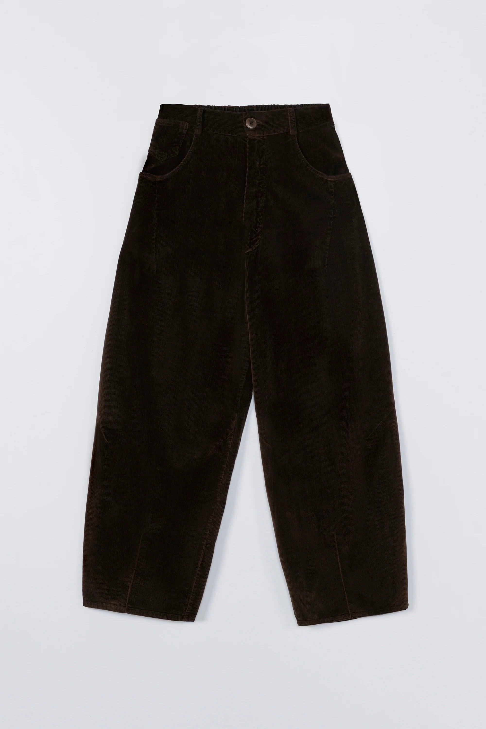 CORDUROY BAGGY PANTS | BROWN